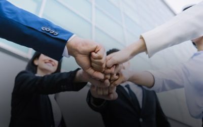 Basic SEO & Setup For BigCommerce Website